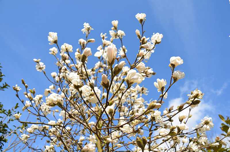 <span>P&eacute;pini&egrave;re</span><i>→</i>