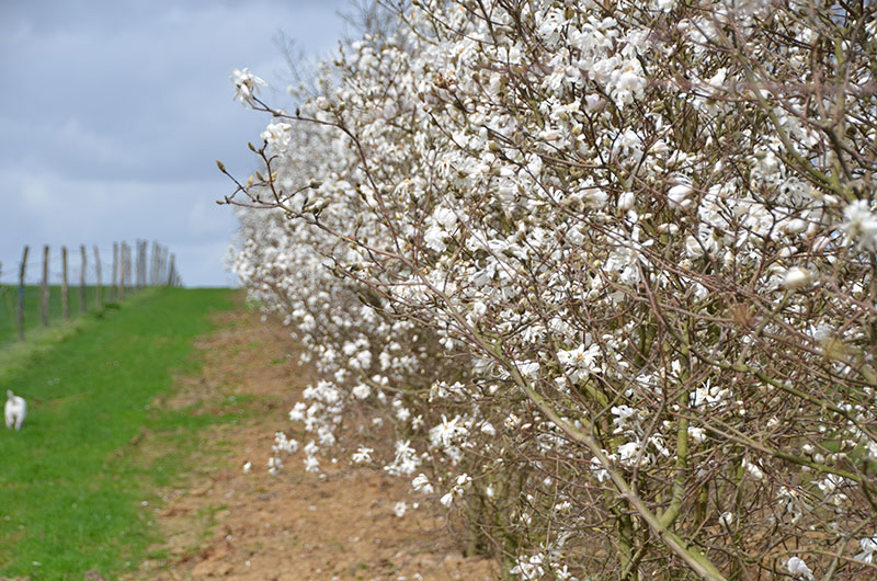 <span>P&eacute;pini&egrave;re</span><i>→</i>