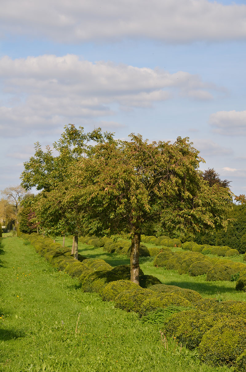 <span>P&eacute;pini&egrave;re</span><i>→</i>