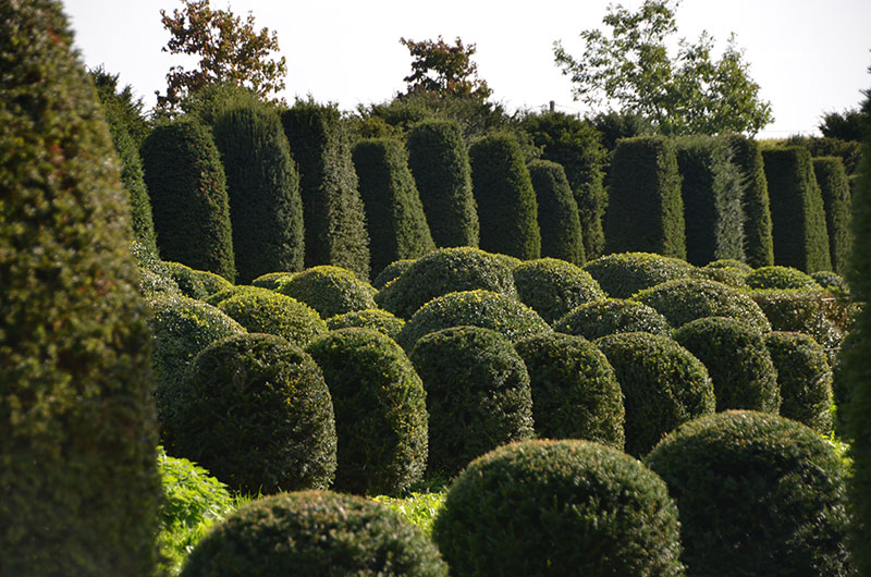 <span>P&eacute;pini&egrave;re</span><i>→</i>