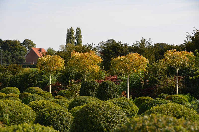 <span>P&eacute;pini&egrave;re</span><i>→</i>