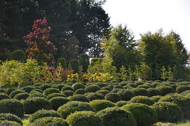 <span>P&eacute;pini&egrave;re</span><i>→</i>