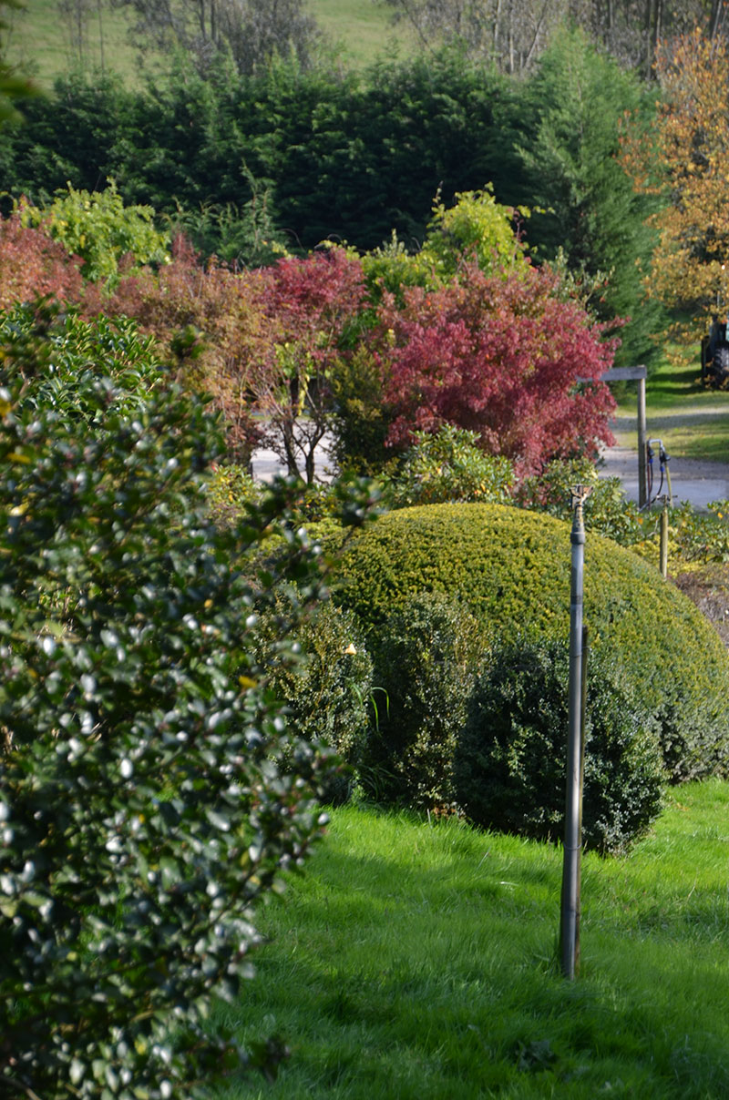 <span>P&eacute;pini&egrave;re</span><i>→</i>