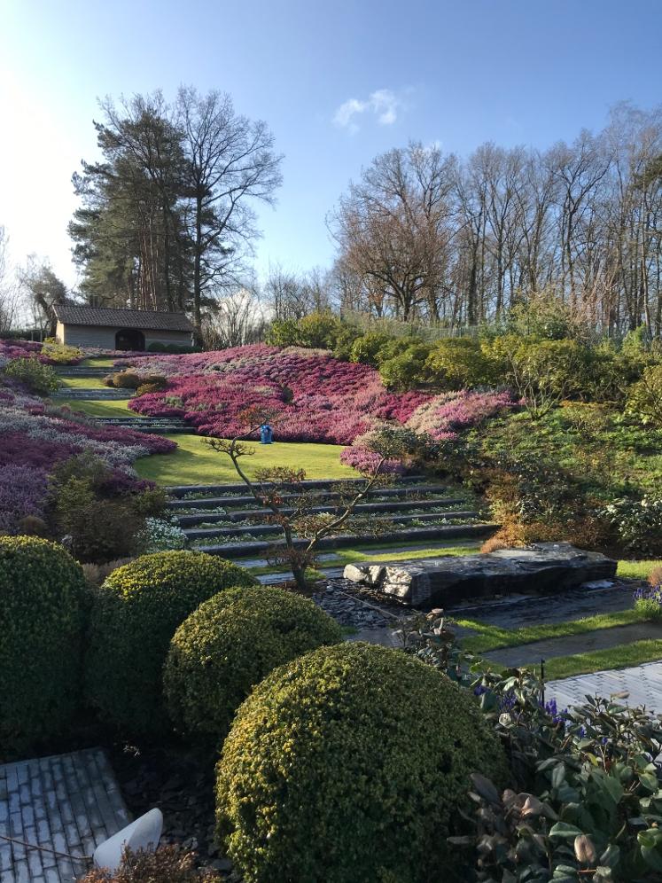 <span>R&eacute;alisations</span><i>→</i>