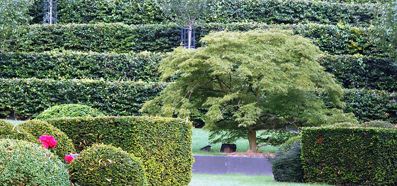 <span>R&eacute;alisations</span><i>→</i>