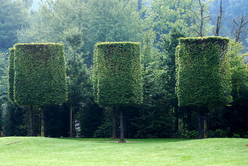 <span>R&eacute;alisations</span><i>→</i>