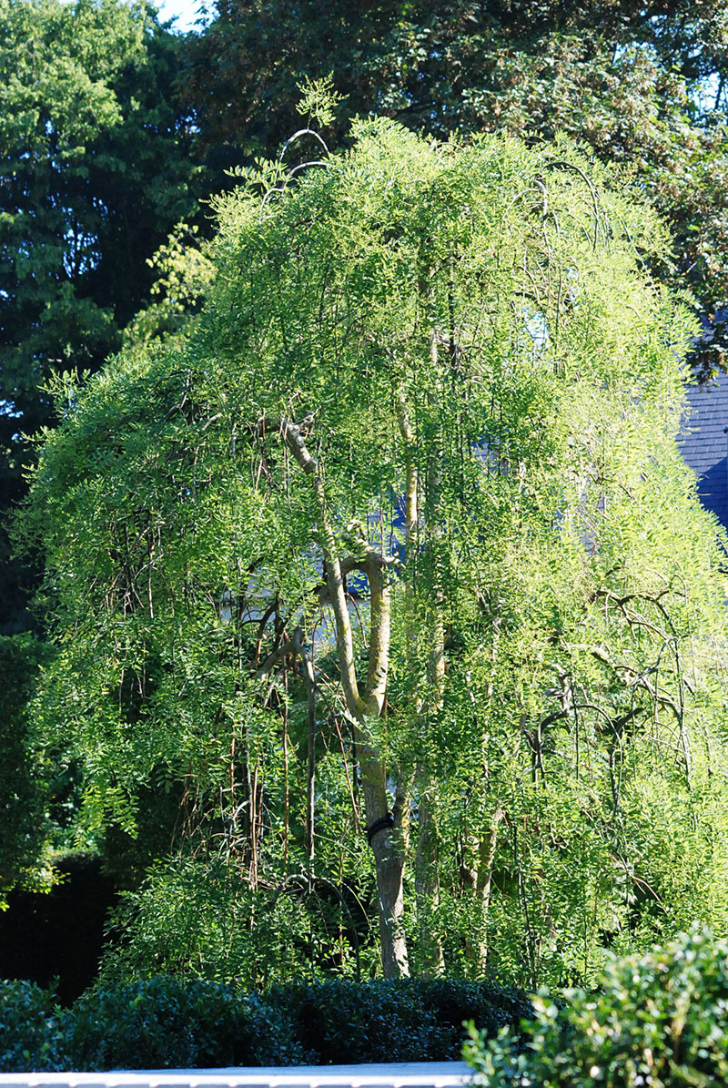 <span>R&eacute;alisations</span><i>→</i>