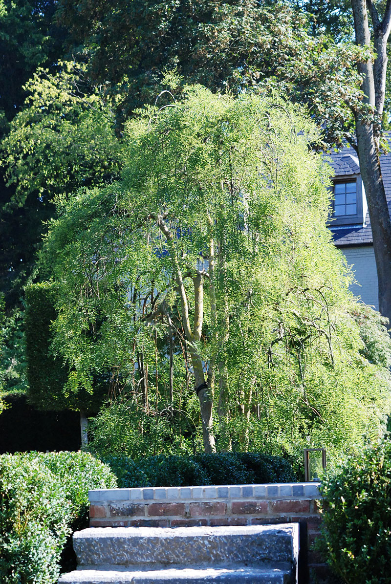 <span>R&eacute;alisations</span><i>→</i>