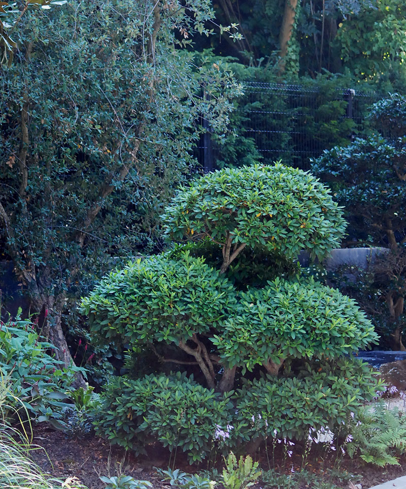 <span>R&eacute;alisations</span><i>→</i>