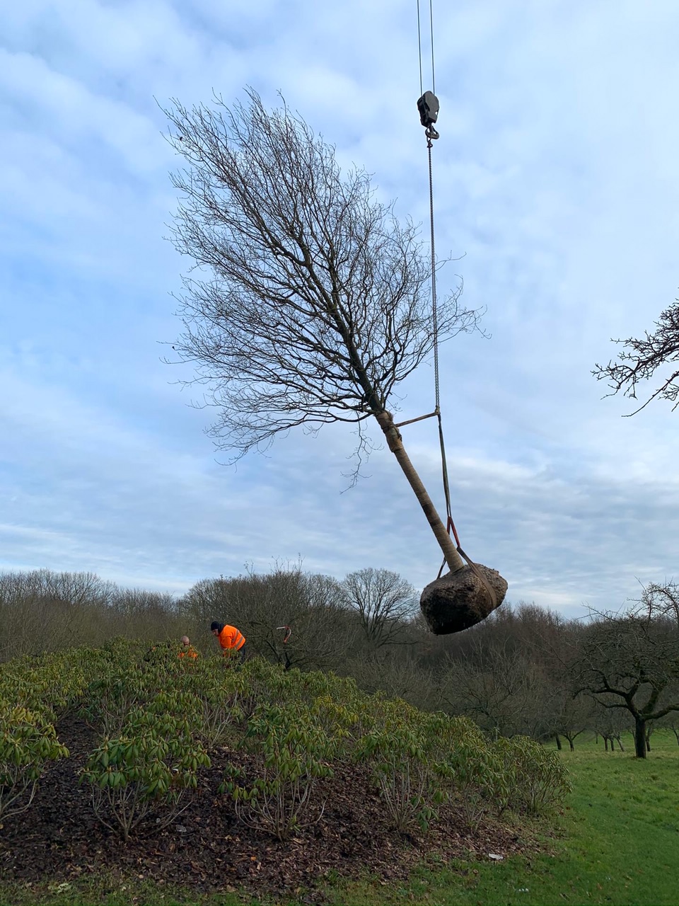 <span>R&eacute;alisations</span><i>→</i>