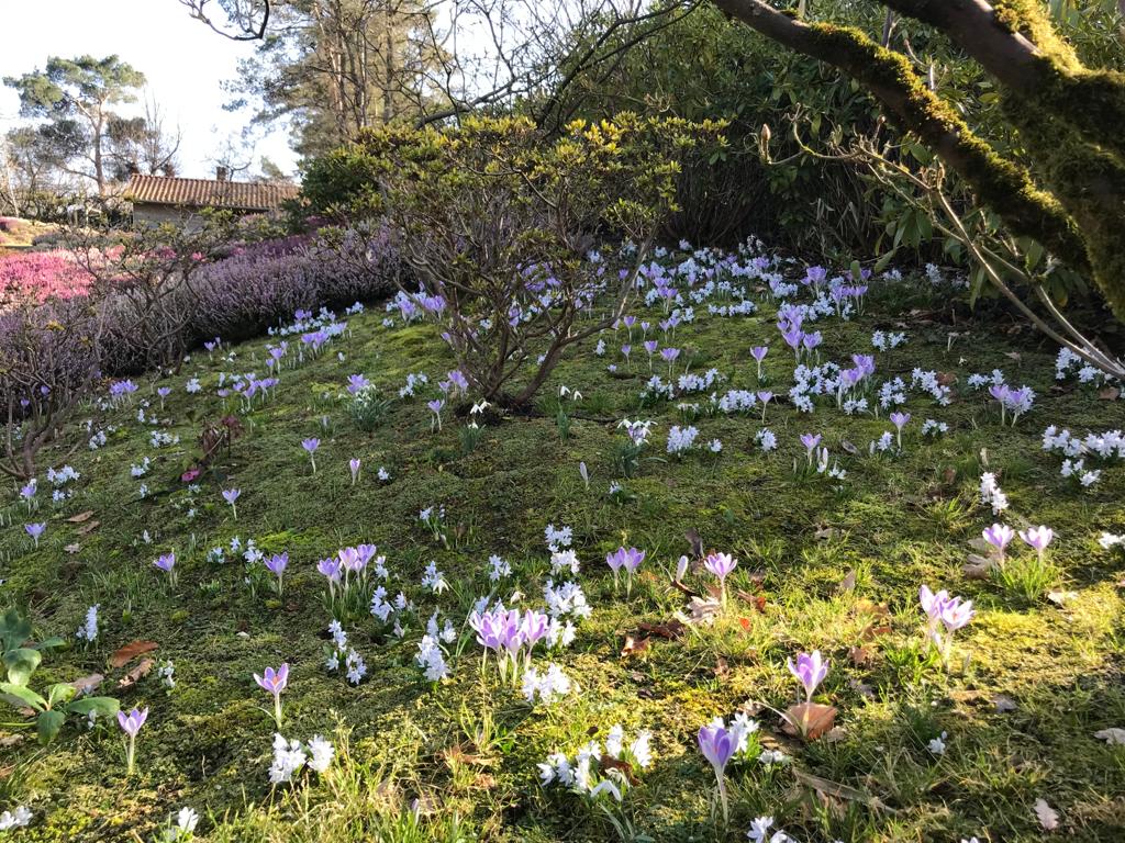 <span>R&eacute;alisations</span><i>→</i>