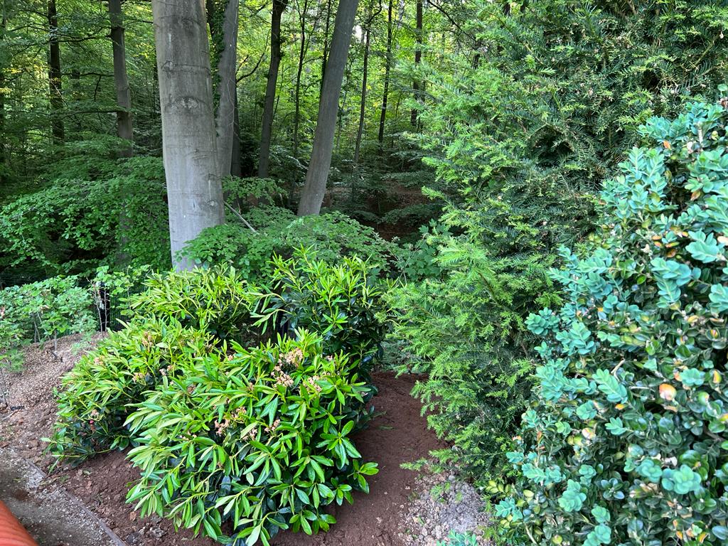 <span>R&eacute;alisations</span><i>→</i>