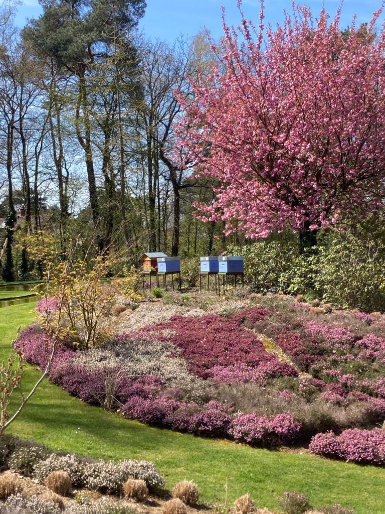 <span>R&eacute;alisations</span><i>→</i>