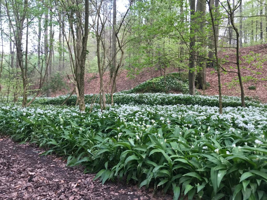 <span>R&eacute;alisations</span><i>→</i>