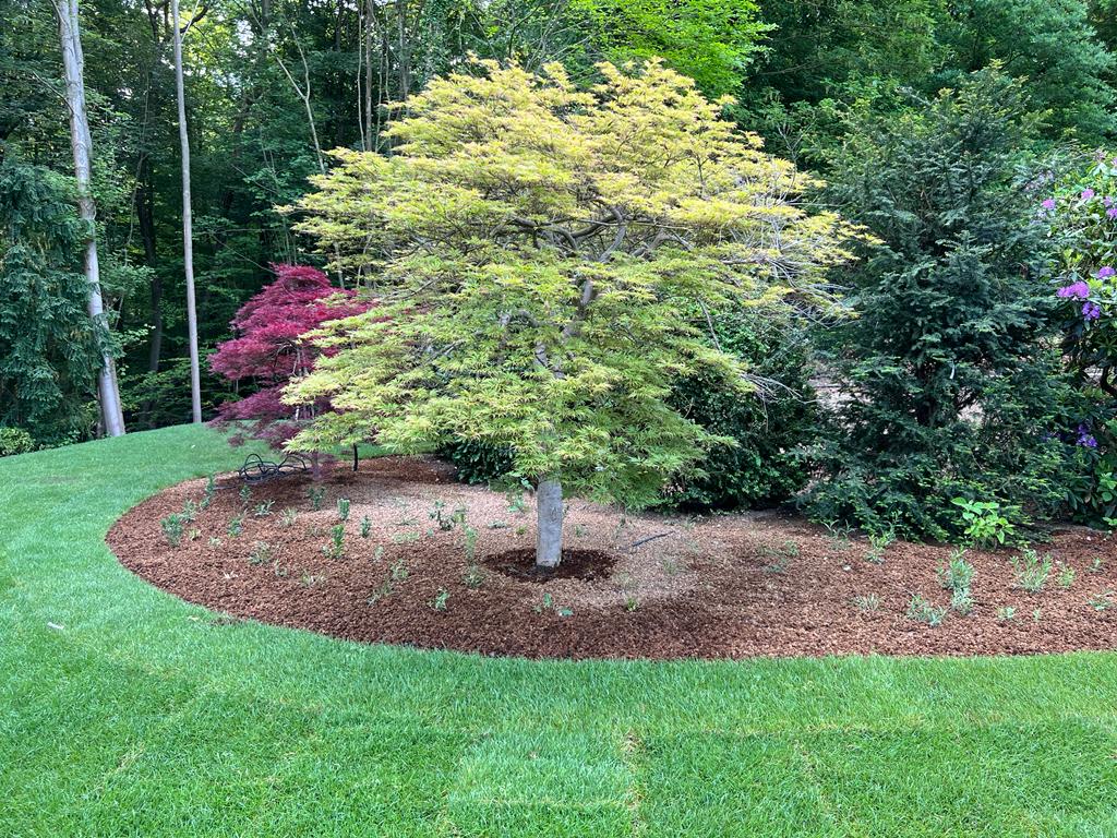 <span>R&eacute;alisations</span><i>→</i>