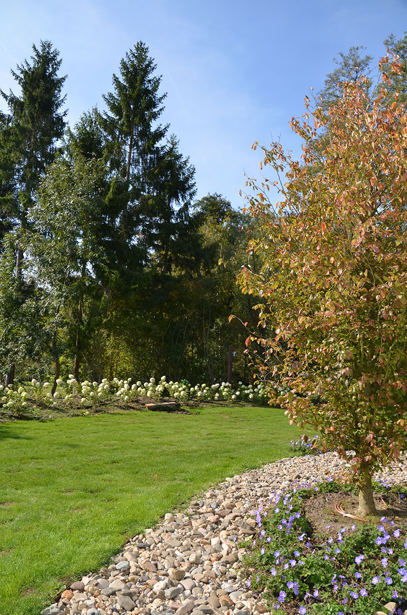 <span>R&eacute;alisations</span><i>→</i>