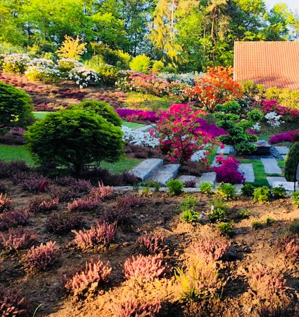 <span>R&eacute;alisations</span><i>→</i>