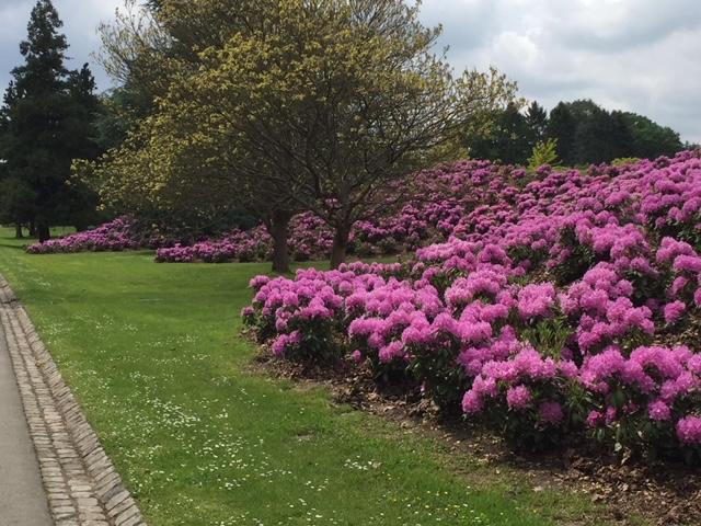 <span>R&eacute;alisations</span><i>→</i>