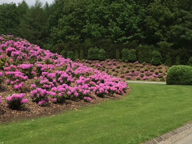 <span>R&eacute;alisations</span><i>→</i>