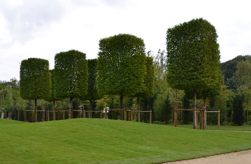 <span>R&eacute;alisations</span><i>→</i>